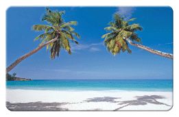 Lenticular Images calendar card with palm trees, umbrella, and lawn chair appear on a tropical Hawaiian beach, flip