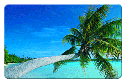 Lenticular Prints calendar card with palm tree on tropical Hawaiian beach, flip