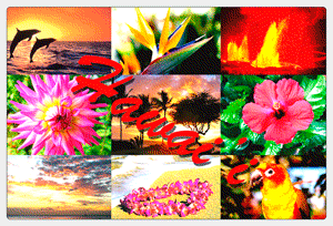 Direct mailer examples with tropical Hawaiian photograph collage, 4x6 inches, lenticular flip effect