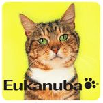 Lenticular Sticker with image of cat