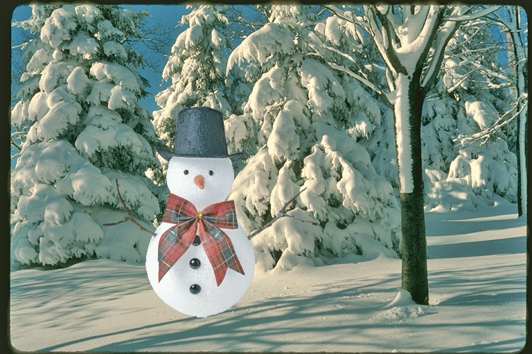 CHRISTMAS TREE Animated 3D Lenticular Postcard Greeting Card 