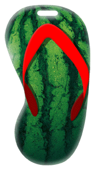 3D Lenticular Printing luggage tag with flip-flop sandal shaped, juicy red watermelon, green shell outside and seedy wet inside, flip