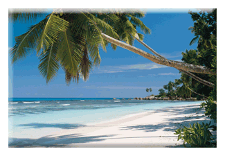 Lenticular Magnet with tropical beach image