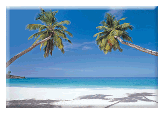 Lenticular Mirror with image of tropical beach
