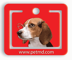 Lenticular Printing paper clip with Beagle puppy dog wearing glasses tilts it head and floppy ears side to side, flip