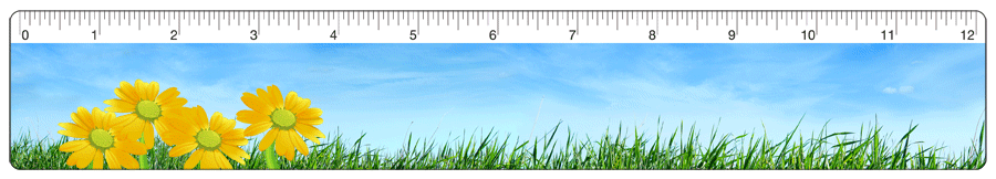 Lenticular 12-inch Ruler with animated image of yellow flowers growing