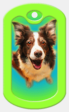 Lenticular printing dog tag with Lassie type dog's eye grow and buldge out of its head, flip